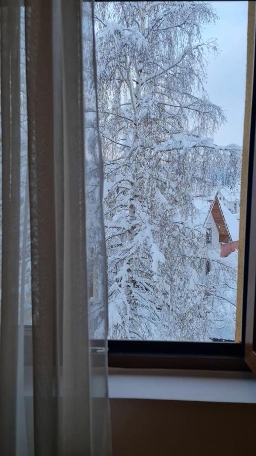 Borovnica Sweet Apartments Žabljak Eksteriør billede